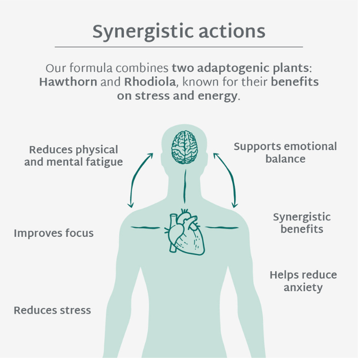 SUGAR-FREE STRESS GUMMIES | Fights stress and anxiety | 21 days